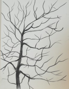 1 - Charcoal Drawing iin Sketchbook