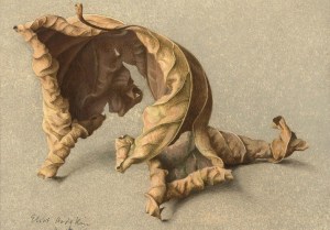 Eliot Hodgkin Large Leaf 2 Tempera on Card