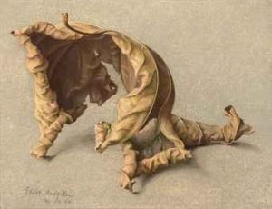 Large Dead Leaf 2 - Eliot Hodgkin